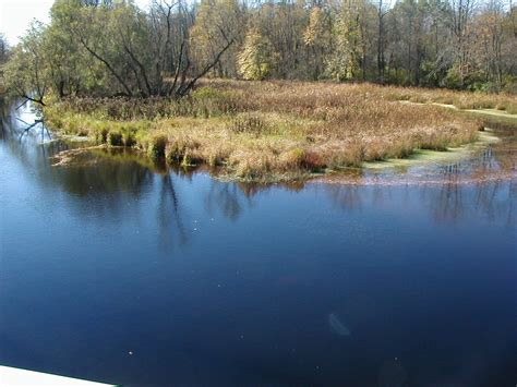 the black creek watershed